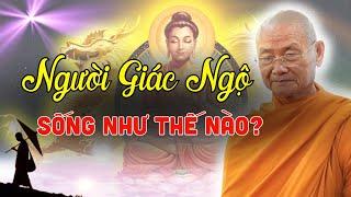 Một Người Đã Giác Ngộ Sống Như Thế Nào?| Sư Viên Minh (Không Nghe Tiếc Lắm)