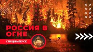 Россия В ОГНЕ. Почему горит лес? | Знамя Марксизма