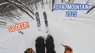 Skiing 2FT of POW…(Royal Mountain)