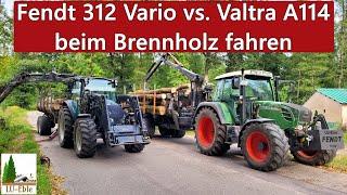 Fendt 312 Vario vs. Valtra A114 beim Brennholz fahren [Teil 2/2] | BMF 14T2Pro Rückewagen