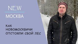 Как новомосквичи отстояли свой лес: 5 шагов