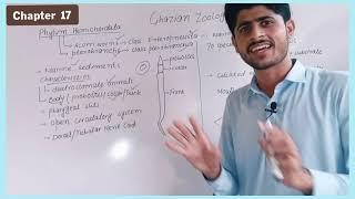 Phylum Hemichordata |Class Enteropneusta |Miller And Harley Zoology |in Urdu and Hindi