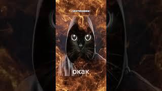 «Иногда я оставляю сантехнику чаевые, если он не лысый из браззерс»