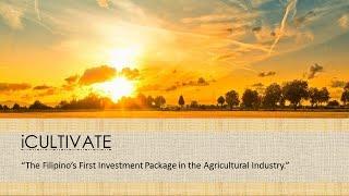 Start-UP Business: iCultivate - Agricultural Investment