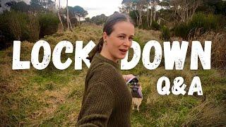 Lockdown Q&A! (Answering YOUR Questions)