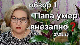 Папа умер внезапно ️