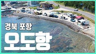 한적하게 차박, 캠낚즐기기 좋은 방파제 [오도방파제]