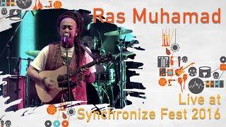 Ras Muhamad LIVE @ Synchronize Fest 2016