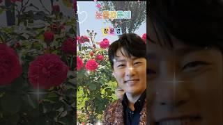 외목대 장미와 #뽕신 #강문경 #눈물때문에 1 #안양천