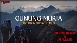 ANTARA MISTIS DAN EKSOTIS ‼️ GUNUNG MURIA - JAWA TENGAH