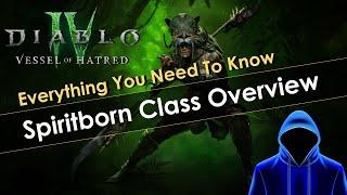 Diablo 4 Spiritborn Beginner's Guide