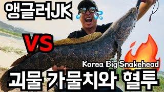 잠홍지 포인트 미터급 가물치와  배스 5짜 낚시 성공!! : Korea Big Snakehead fishing!!!