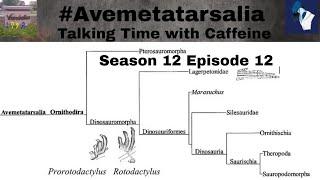 #Avemetatarsalia (Talking Time with Caffeine Season 12 Episode 12) /w @DoktorDeino