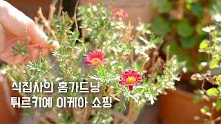 가드닝 10년, 가장 키우기 좋은 식물 | 가성비 맛집 이스탄불 이케아 쇼핑목록 | 국제학교 풍경 | 5월일상 브이로그