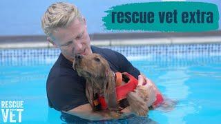 Mango's first swimming lesson! | Rescue Vet Extra with Dr Scott Miller