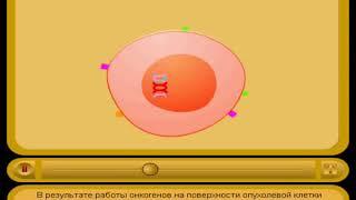 Клеточные механизмы противоопухолевого иммунитета