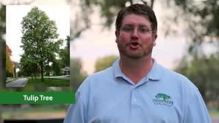 Tree Diversity: A Key to Healthy, Sustainable Communities