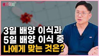 3일 배양 이식과 5일 배양 이식 중 나에게 맞는 것?