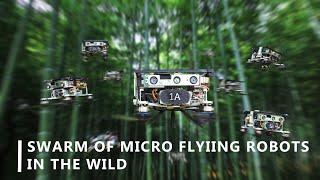 Swarm of Micro Flying Robots in the Wild [All]