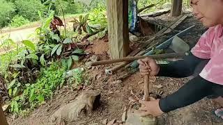 Life in the countryside Thailand's village lifestyle