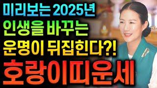 ⭐미리보는 2025년 을사년 신년운세 범띠운세⭐2025년 평생운 금전운 대박나는 범띠에게 생길 큰 변화들 범띠 62년생 74년생 86년생 98년생 범띠운세 대운으로 금전운 대박난다