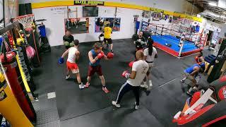 CONTROLLED SPARRING AND BOXING TECHNIQUE CLASS