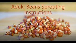 Aduki Beans Sprouting Instructions