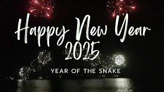 Happy New Year! 2025 | Year of the Snake | Cebu, Philippines