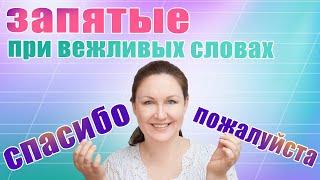 Как ставить запятые со словом пожалуйста, спасибо, здравствуйте, до свидания.