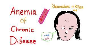 Anemia of Chronic Disease - Anemia of Inflammation- All you need to know - Hematology Series