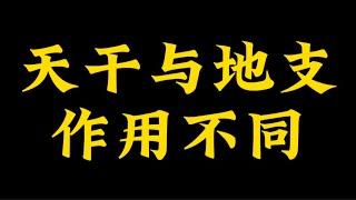 【准提子命理八字】天干与地支，作用大不同。