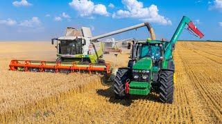 Árpa aratás 2024 | 2x Claas Lexion 580 + Sampo | 5x szállító JD 8530 + Hawe + Case IH + Zmaj