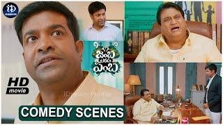 Vennelakishore Super Hit Comedy Scenes | Telugu Movies | iDream Celebrities