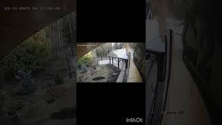 Придётся опять ждать котят. Это с камеры.
