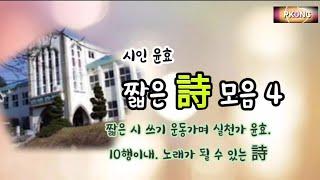 시감상 - 짧은시 모음 4 / 시인 윤효 '배꼽'