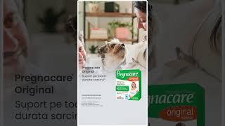 Vitabiotics Pregnacare® Original