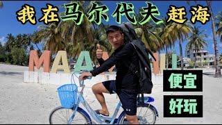 《环球探海记》马尔代夫 第6天：马代旅游度假（吃住行），每人每天210元，便宜超好玩  #马尔代夫 #旅行攻略 #赶海 #度假