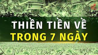 THIỀN HÚT TIỀN VỀ TRONG 7 NGÀY