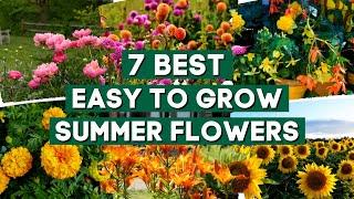 7 Easy to Grow Summer Flowers to Plant in Your Garden // PlantDo Garden 