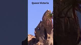 Rock formations - Queen Victoria - Richtersveld #shortsyoutube