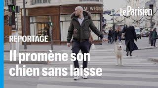 Thibault milite pour pouvoir promener son chien sans laisse dans Paris