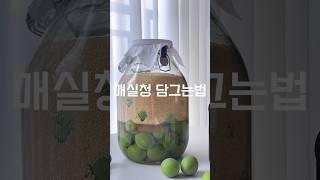 홍쌍리 매실청 담그는법