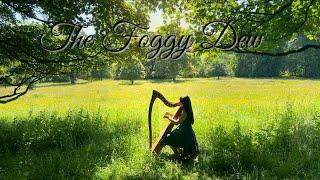 The Foggy Dew - Celtic Harp