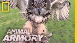 Terrifying Talons | Animal Armory