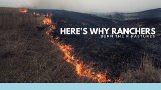 Flint Hills and Prescribed Burns