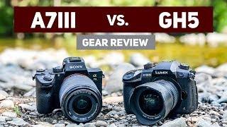 Sony A7iii vs Panasonic GH5 for Video