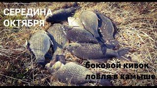 КАРАСЬ НА БОКОВОЙ КИВОК. Ловля в октябре.