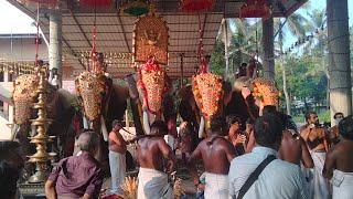 vadanappally pooram  (26/12/2024) @Aanapremi307