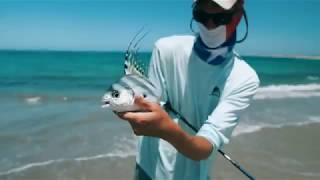 Fly Fishing for Roosterfish in Baja, Mexico