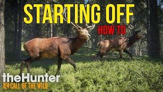 THE HUNTER: CALL OF THE WILD - HOW TO GET STARTED TIPS & TRICKS